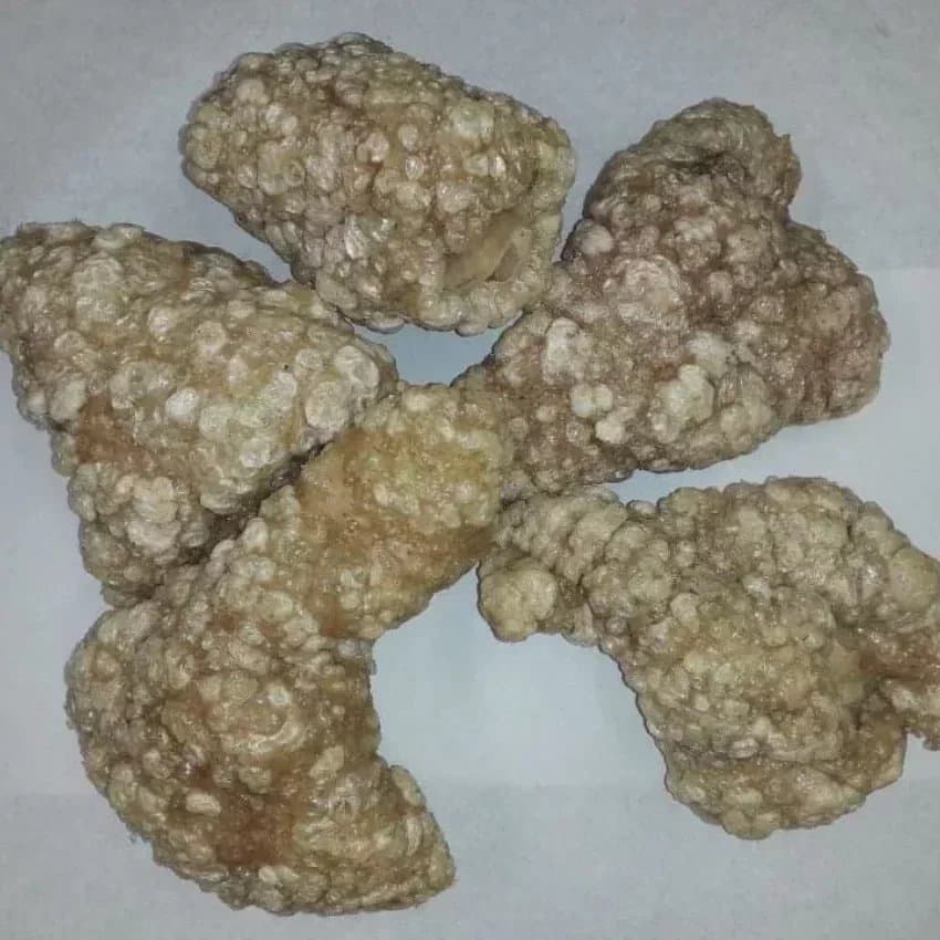 Gratton — peau cochon frit